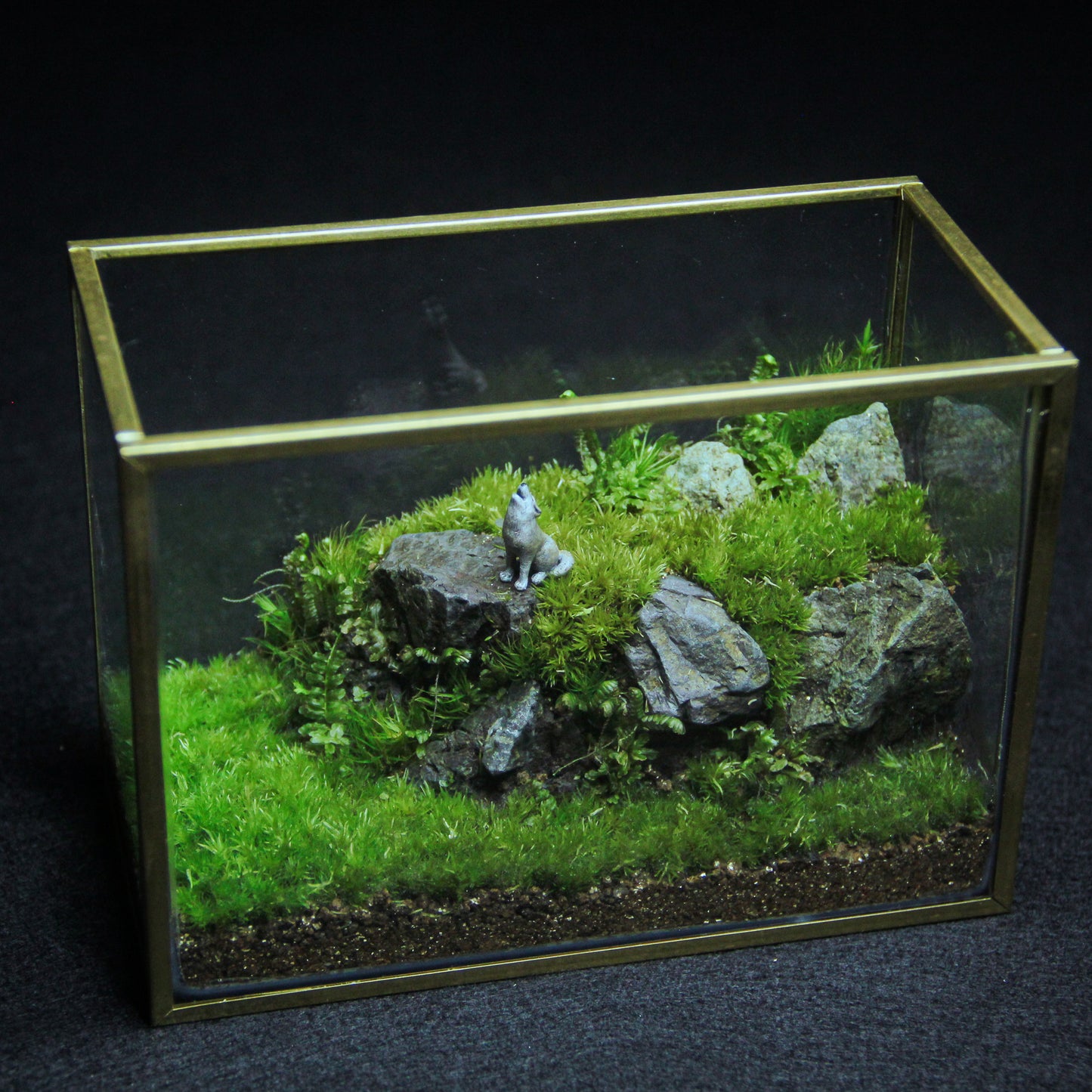 オオカミの遠吠え メタルフレームL《苔テラリウム・コケリウム》
