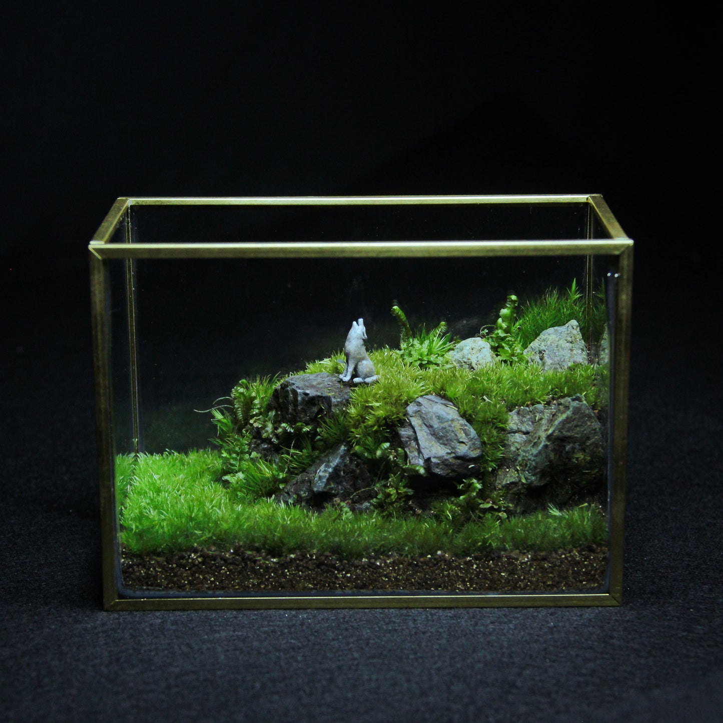 オオカミの遠吠え メタルフレームL《苔テラリウム・コケリウム》