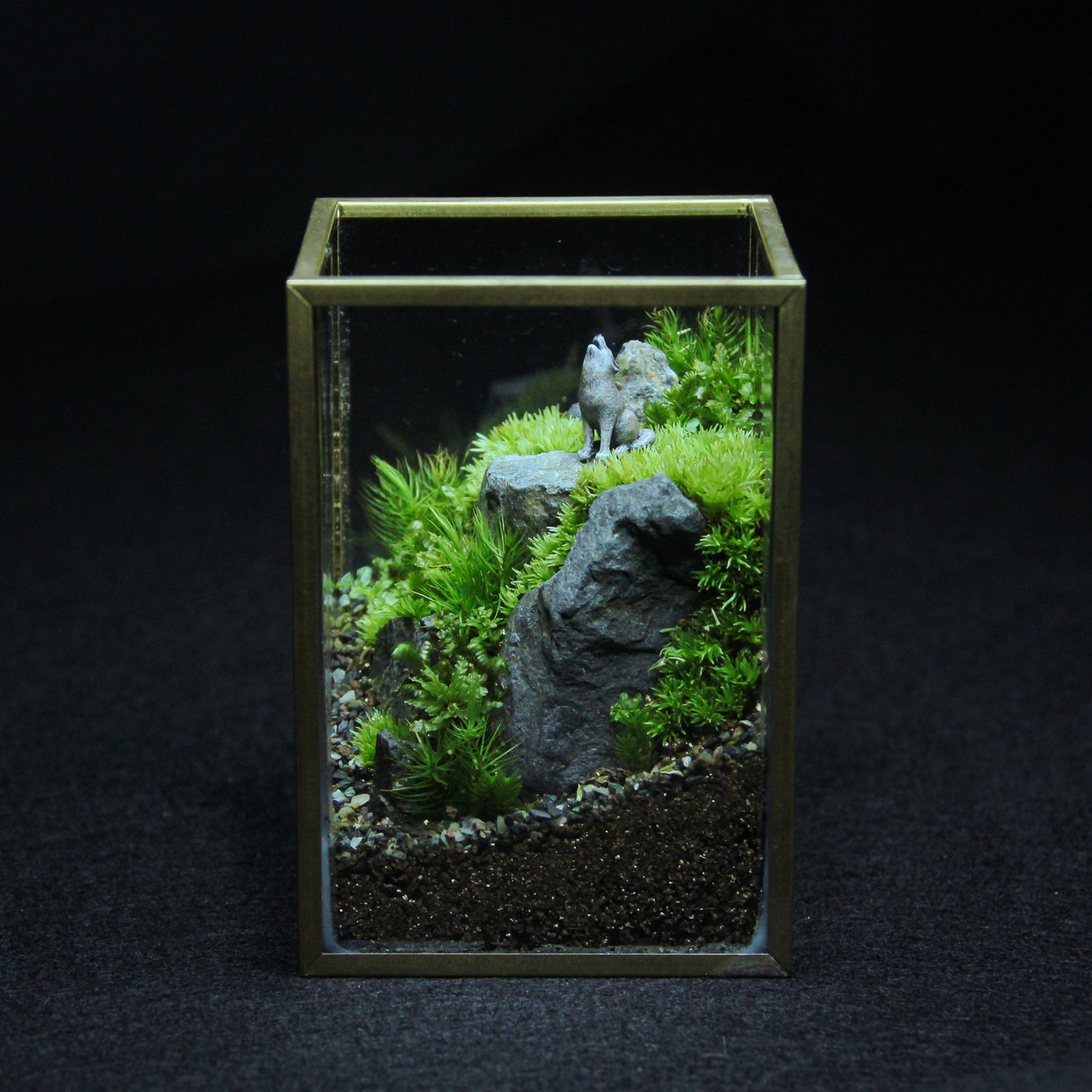 オオカミの遠吠え メタルフレームS《苔テラリウム・コケリウム》