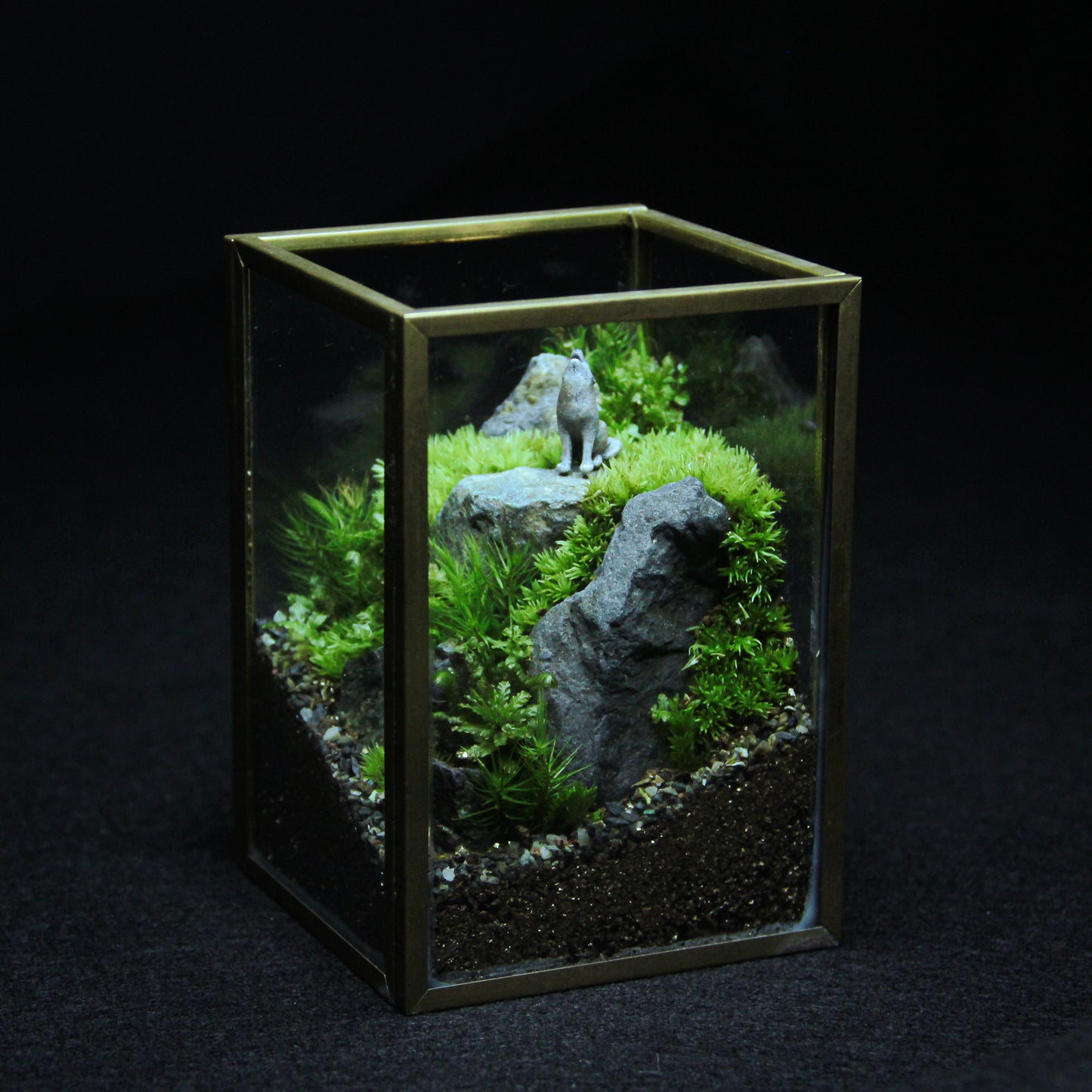 オオカミの遠吠え メタルフレームS《苔テラリウム・コケリウム》