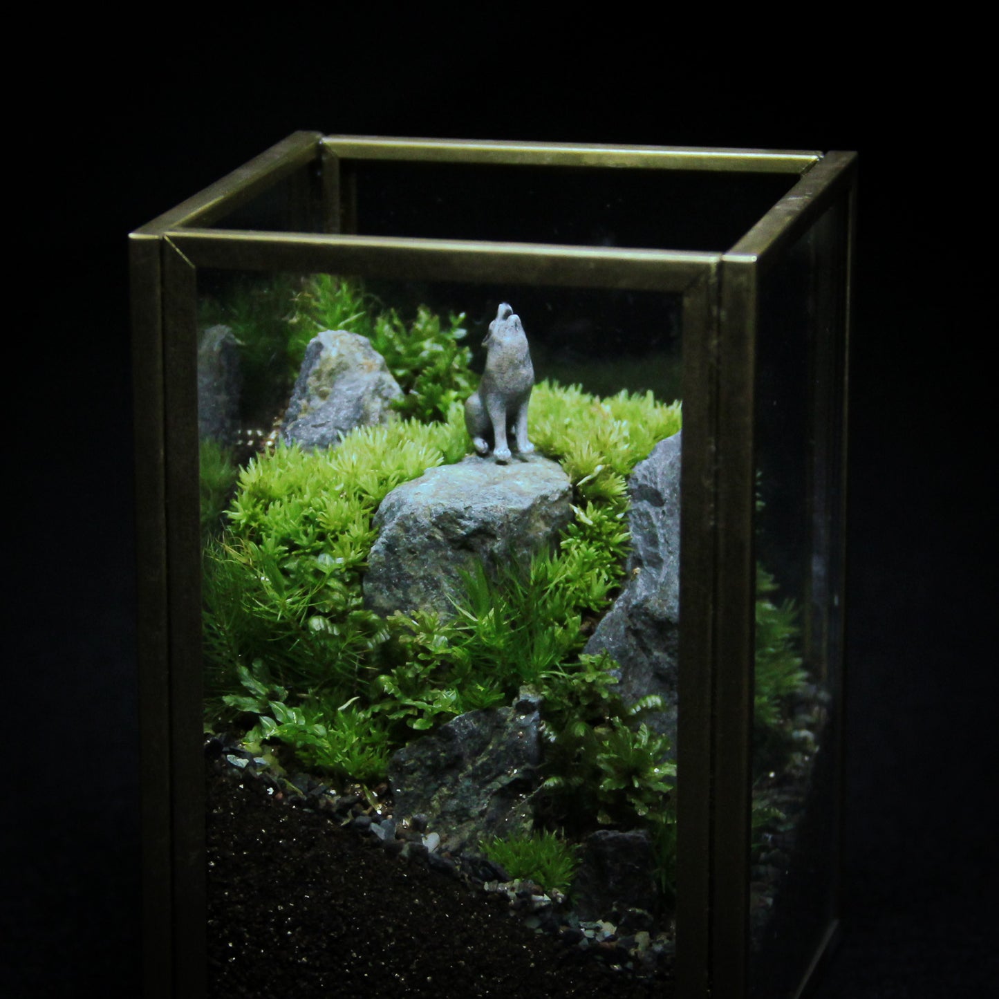 オオカミの遠吠え メタルフレームS《苔テラリウム・コケリウム》