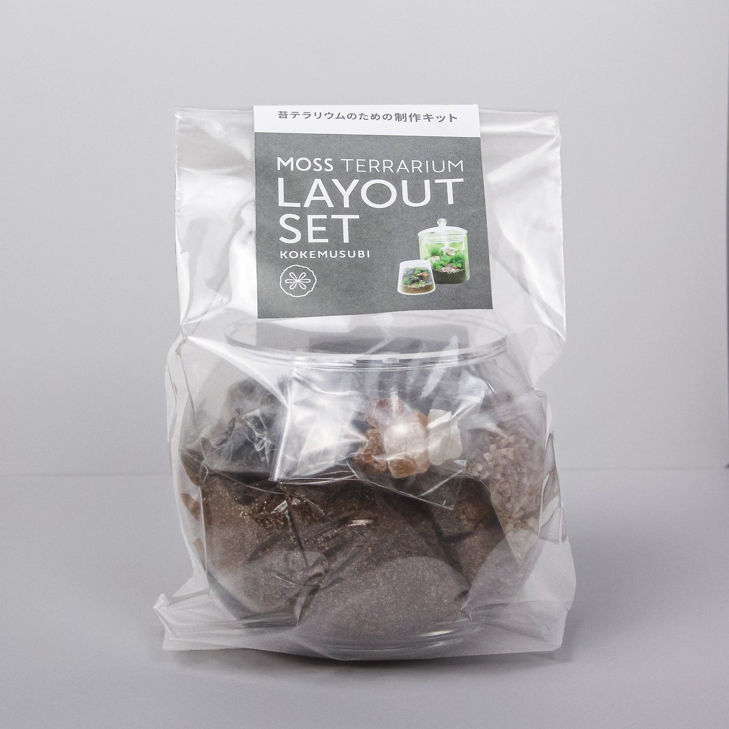 苔テラリウムレイアウトセット【ボウル2L】(卸販売限定)