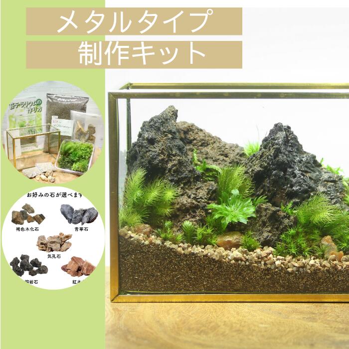 【メタルフレームL type】苔テラリウム制作キット《苔パック5種》
