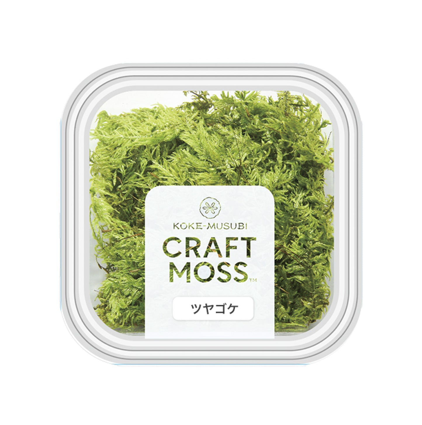 ツヤゴケ クラフトモス 《プリザーブドフラワー・モス》