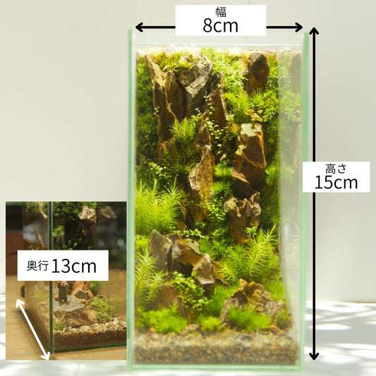 \高さ15センチ本棚を彩る苔テラリウム/【スクエアートールL 本棚 苔テラリウム制作キット】《苔5種パック》