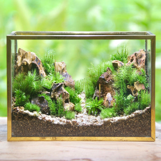 ハニワL_山岳の風景 メタルフレームL《苔テラリウム・コケリウム》