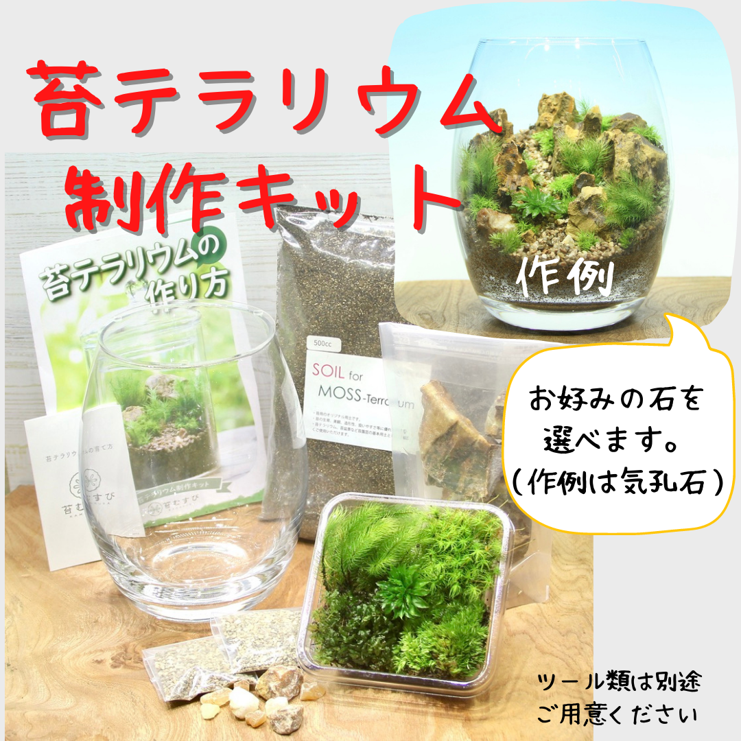 バルーン type】苔テラリウム制作キット《苔パック5種》 – 苔むすび