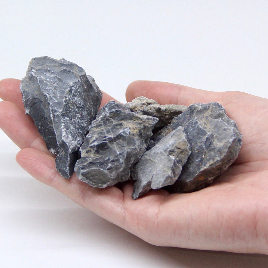 青華石M(30-70mm)《苔テラリウム・コケリウム用》