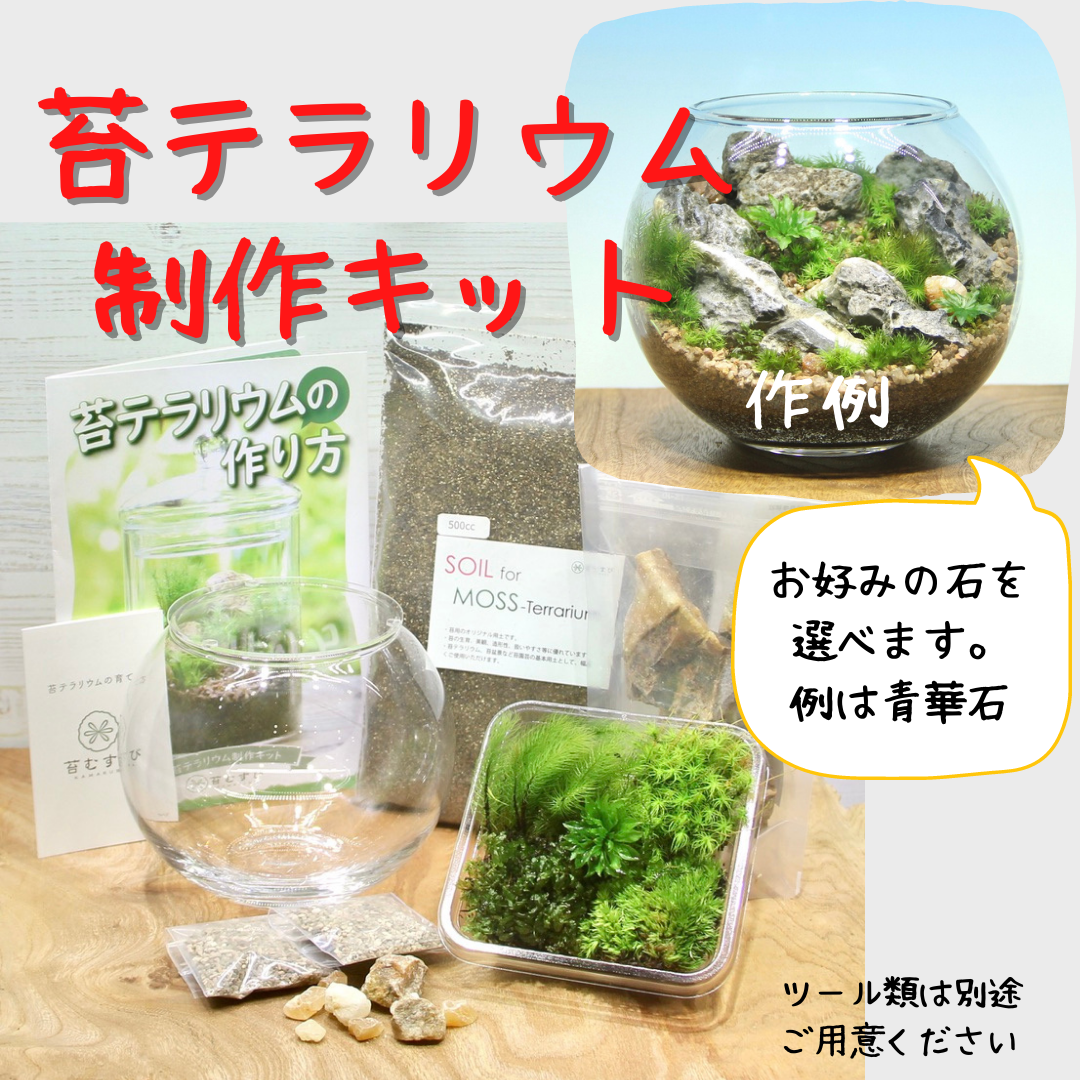 【ボウル2L type】苔テラリウム制作キット《苔パック5種》