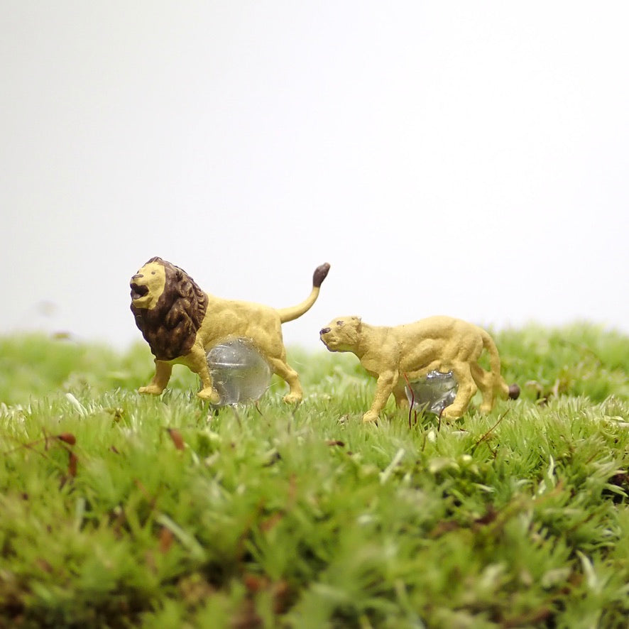 ライオンペア《苔テラリウム・コケリウム用ミニチュアフィギュア》