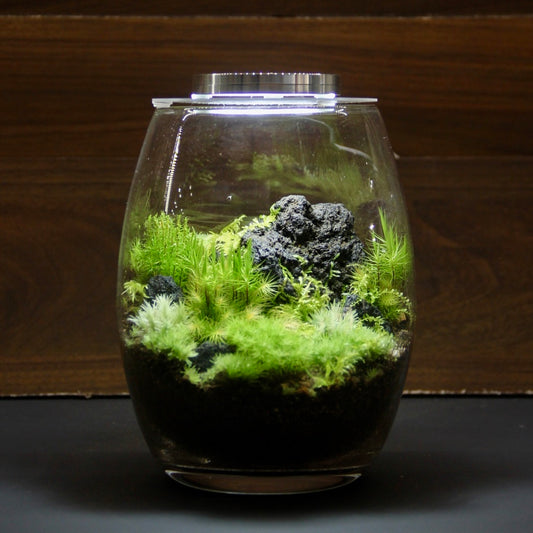 ちょい乗せライト増設用《苔テラリウム・コケリウム用》