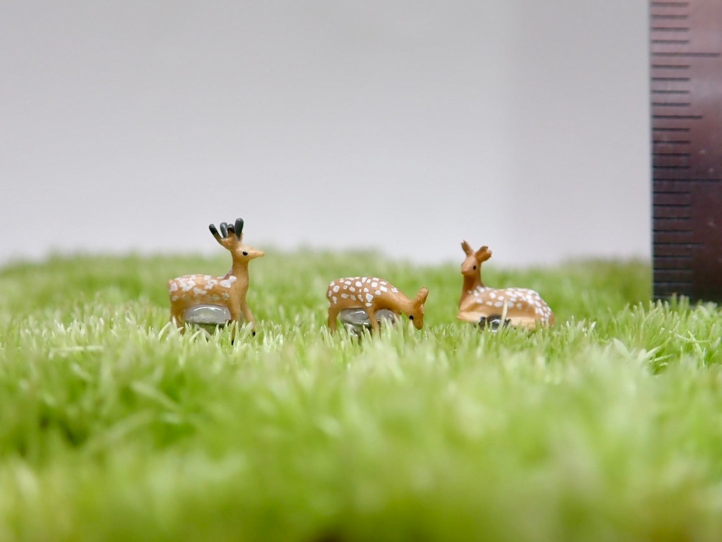 ミニ鹿_ミニチュアフィギュア《苔テラリウム・コケリウム用》