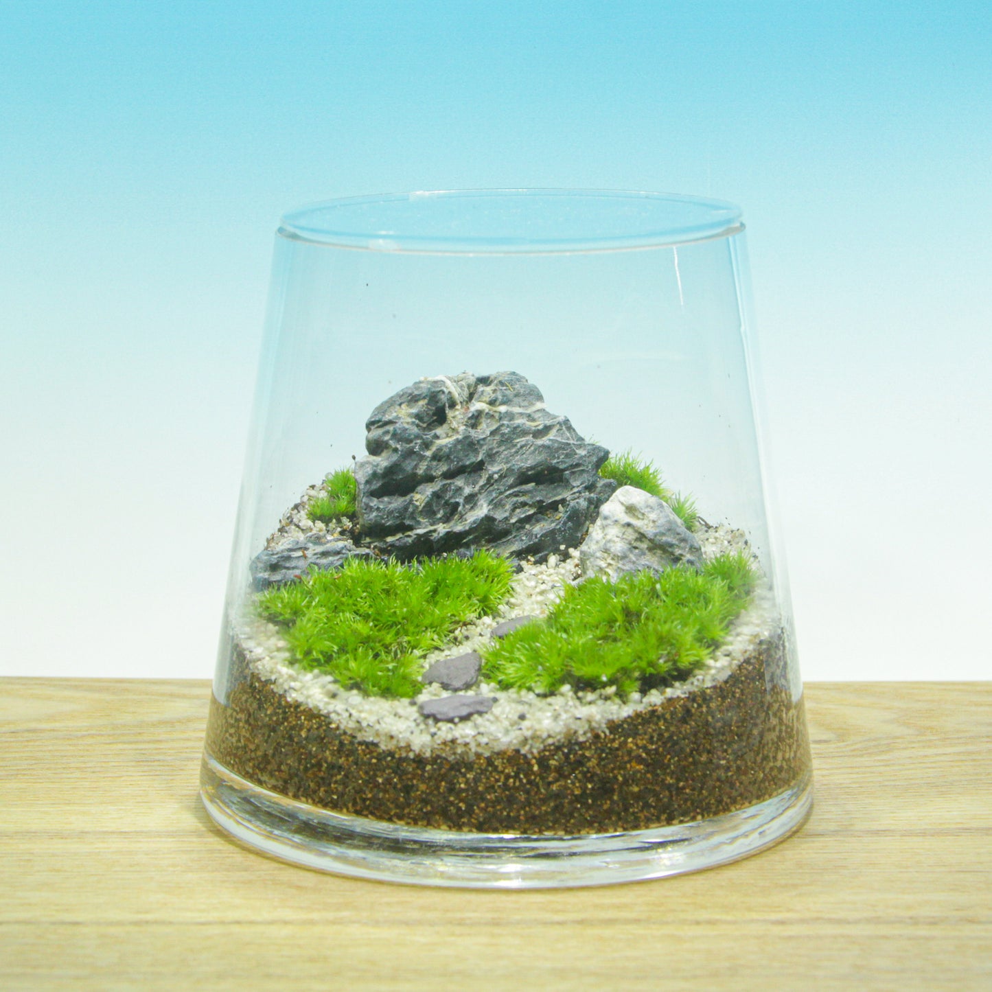 枯山水 山型S《苔テラリウム・コケリウム》