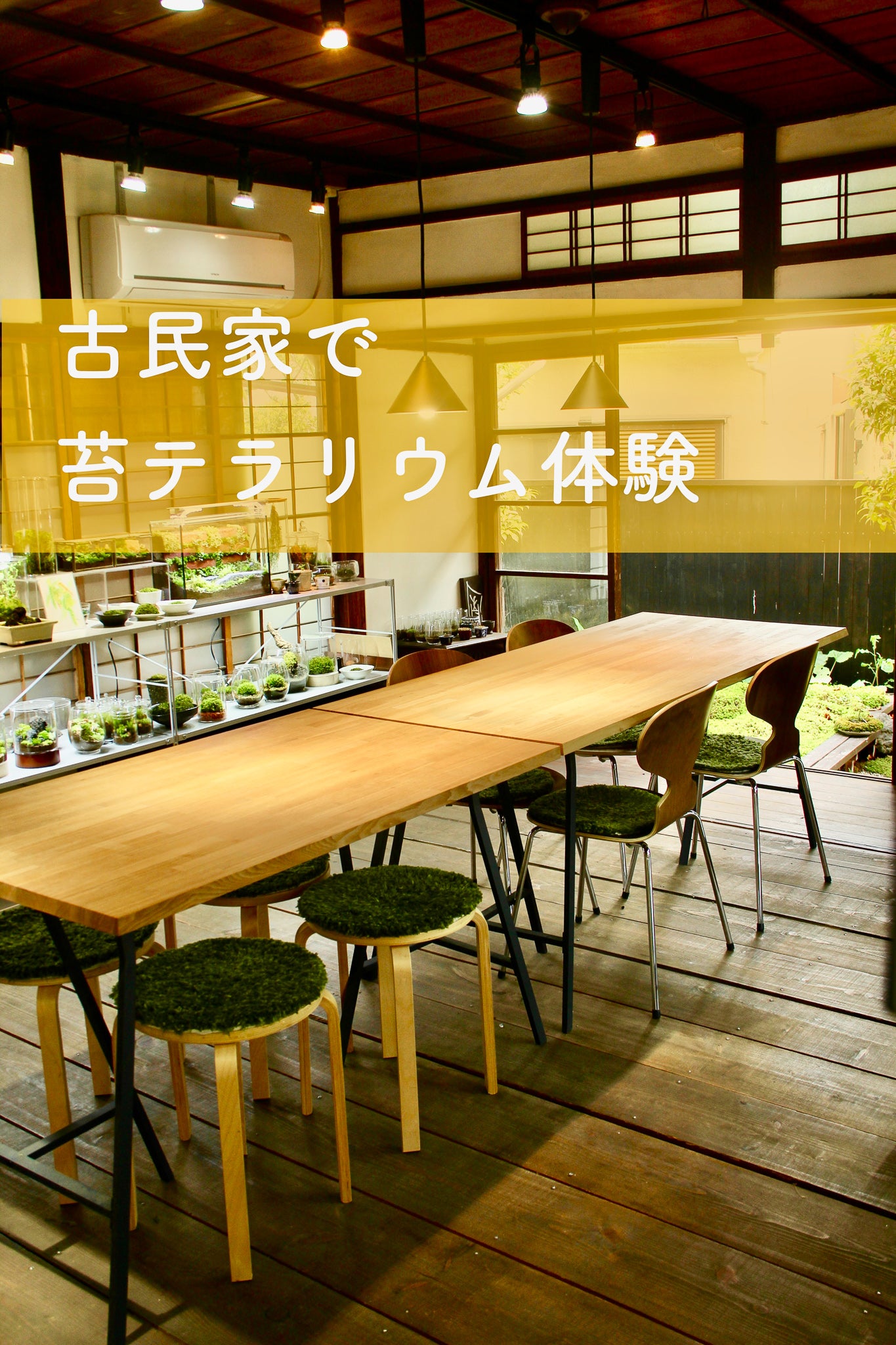 キツネ1匹_渓流の風景 ボウルM《苔テラリウム・コケリウム》