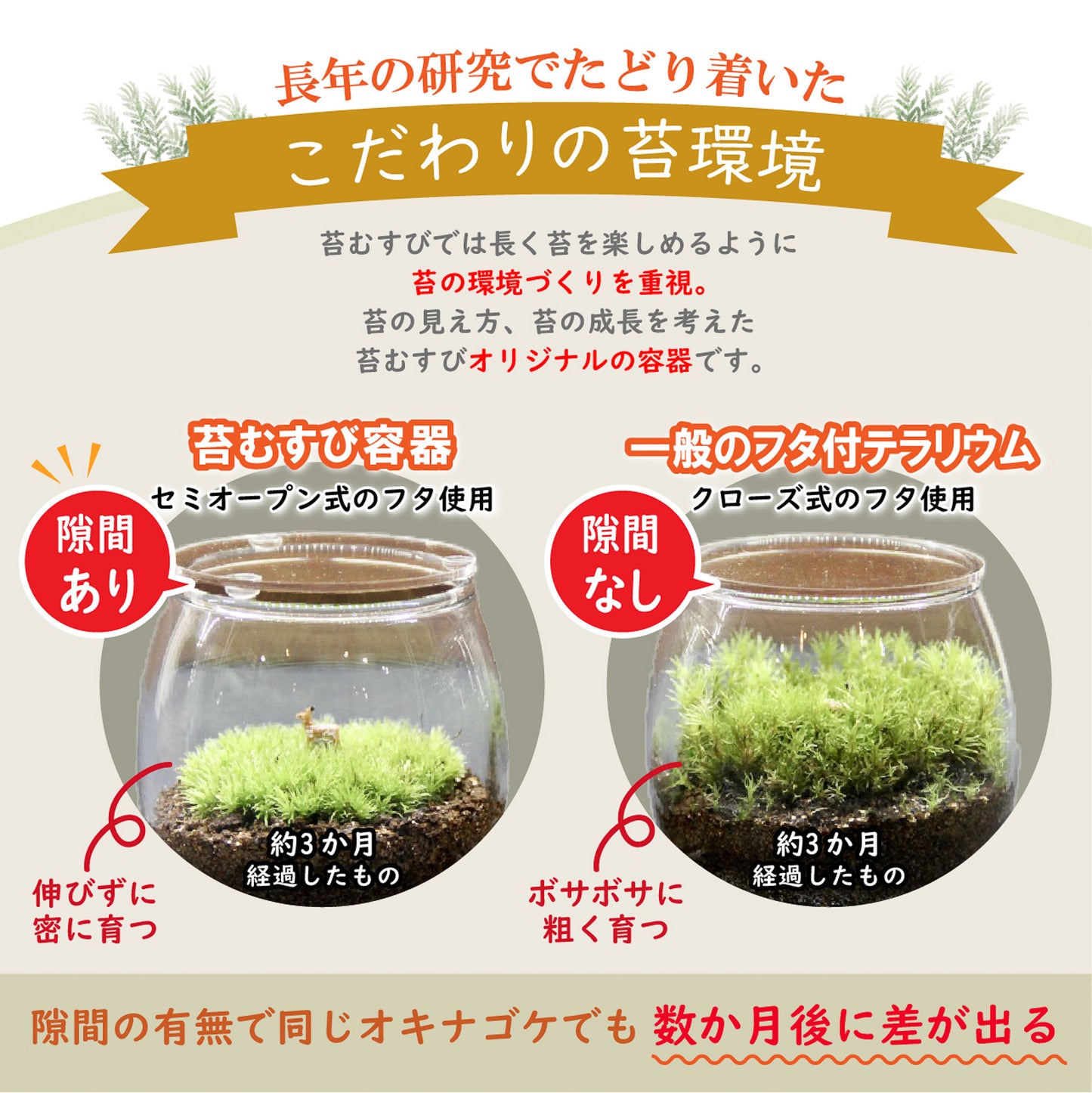 キツネ1匹_渓流の風景 ボウルM《苔テラリウム・コケリウム》