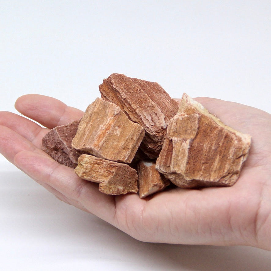紅木化石M（30-60mm）《苔テラリウム・コケリウム用》 – 苔むすび