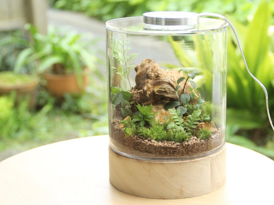 化粧砂 汎用さび小粒(50cc)《苔テラリウム・コケリウム用》