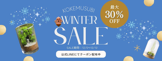 WINTERSALE2025