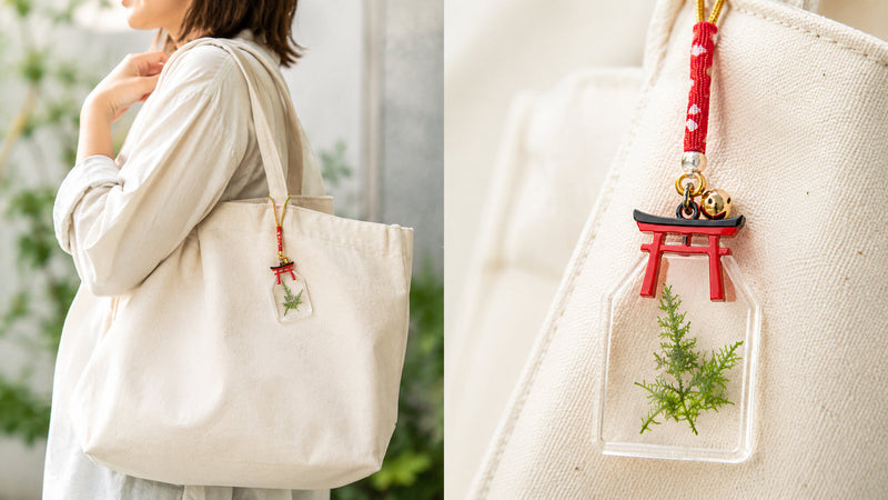 【スタッフの愛用品】苔と一緒にお出かけできる！ちいさな苔のお守り