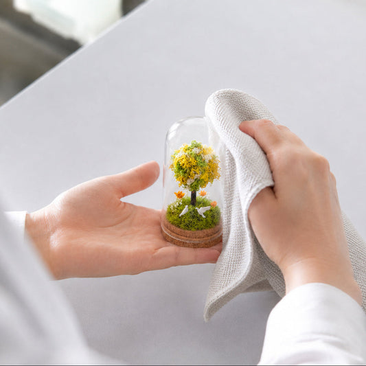 【スタッフの愛用品】お手入れは、埃を拭くだけ。暮らしの中の小さな苔
