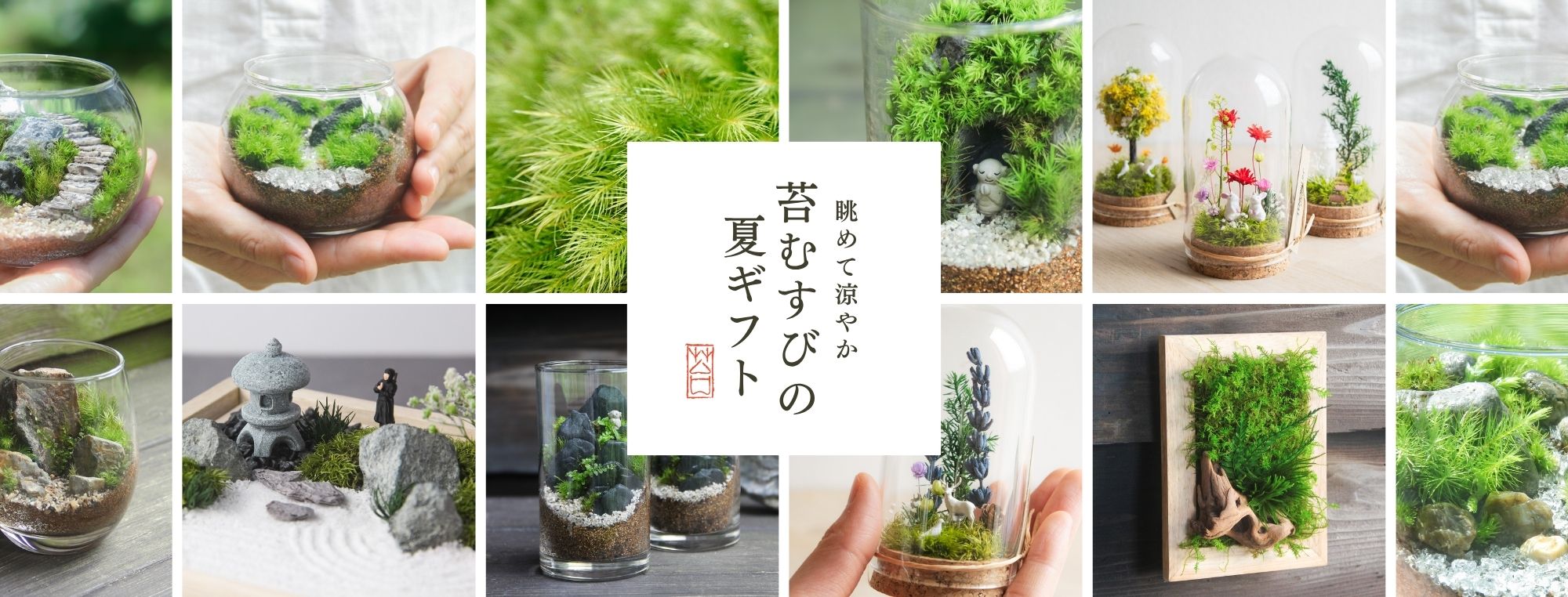 苔むすび OnlineShop