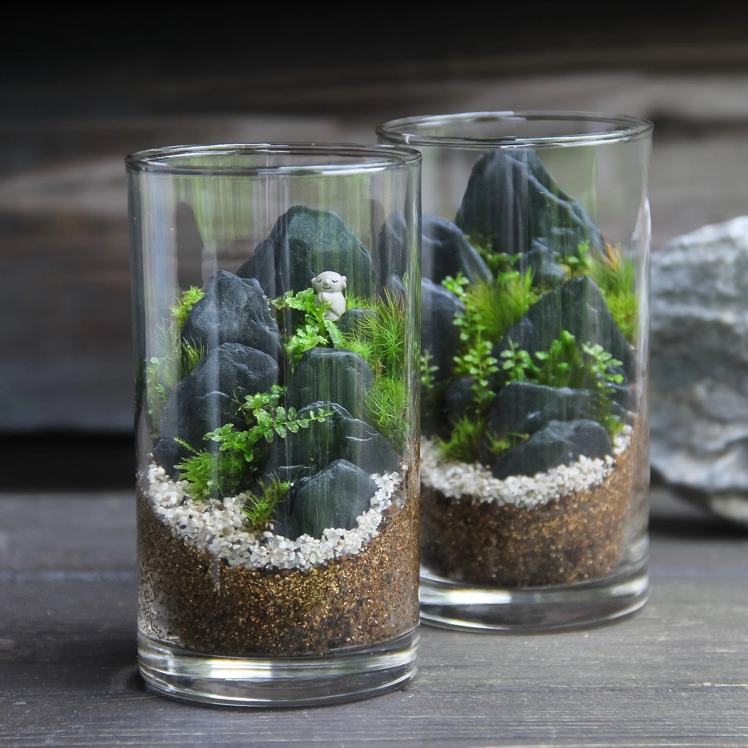 ¥3.000〜¥5.000 - 苔むすび