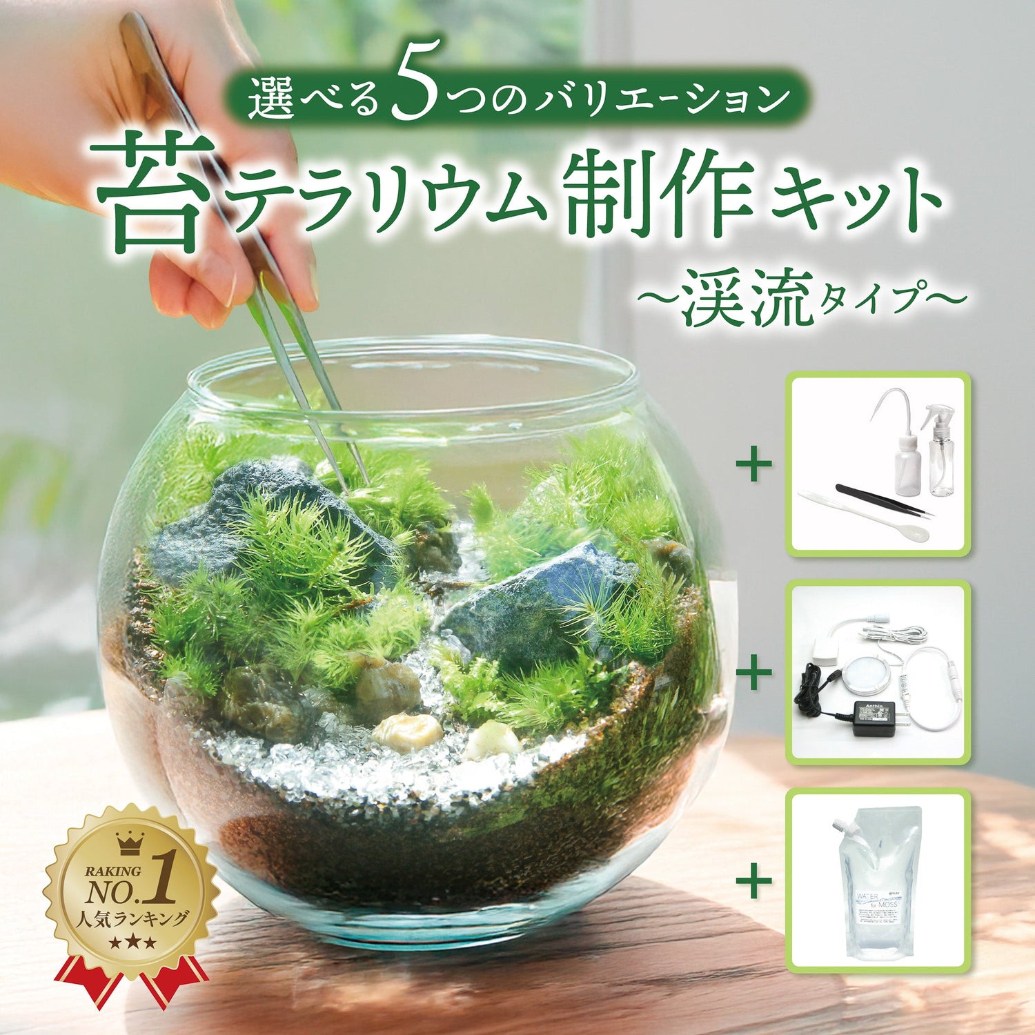 苔テラリウムを作りたい方はこちら - 苔むすび