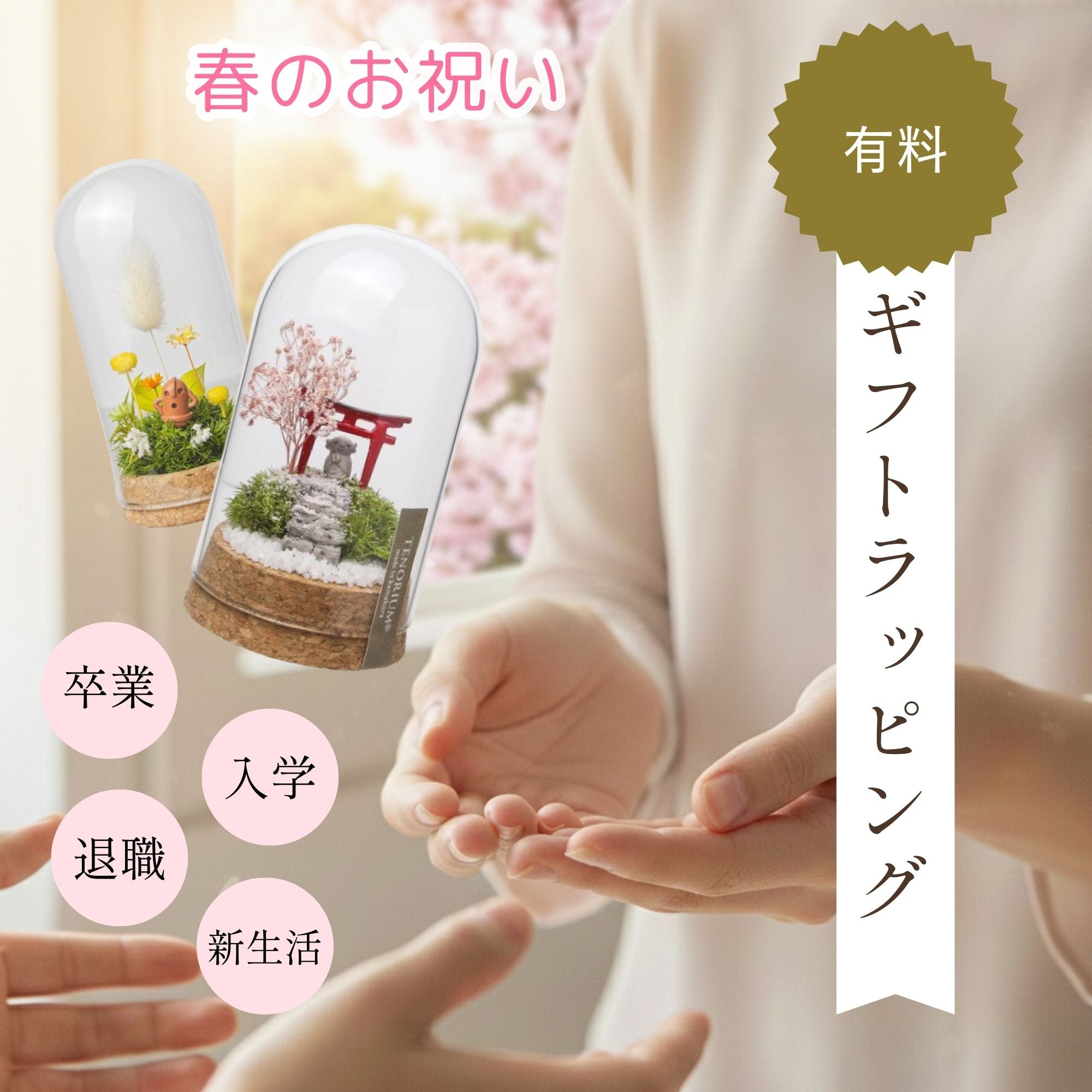 苔むすび OnlineShop