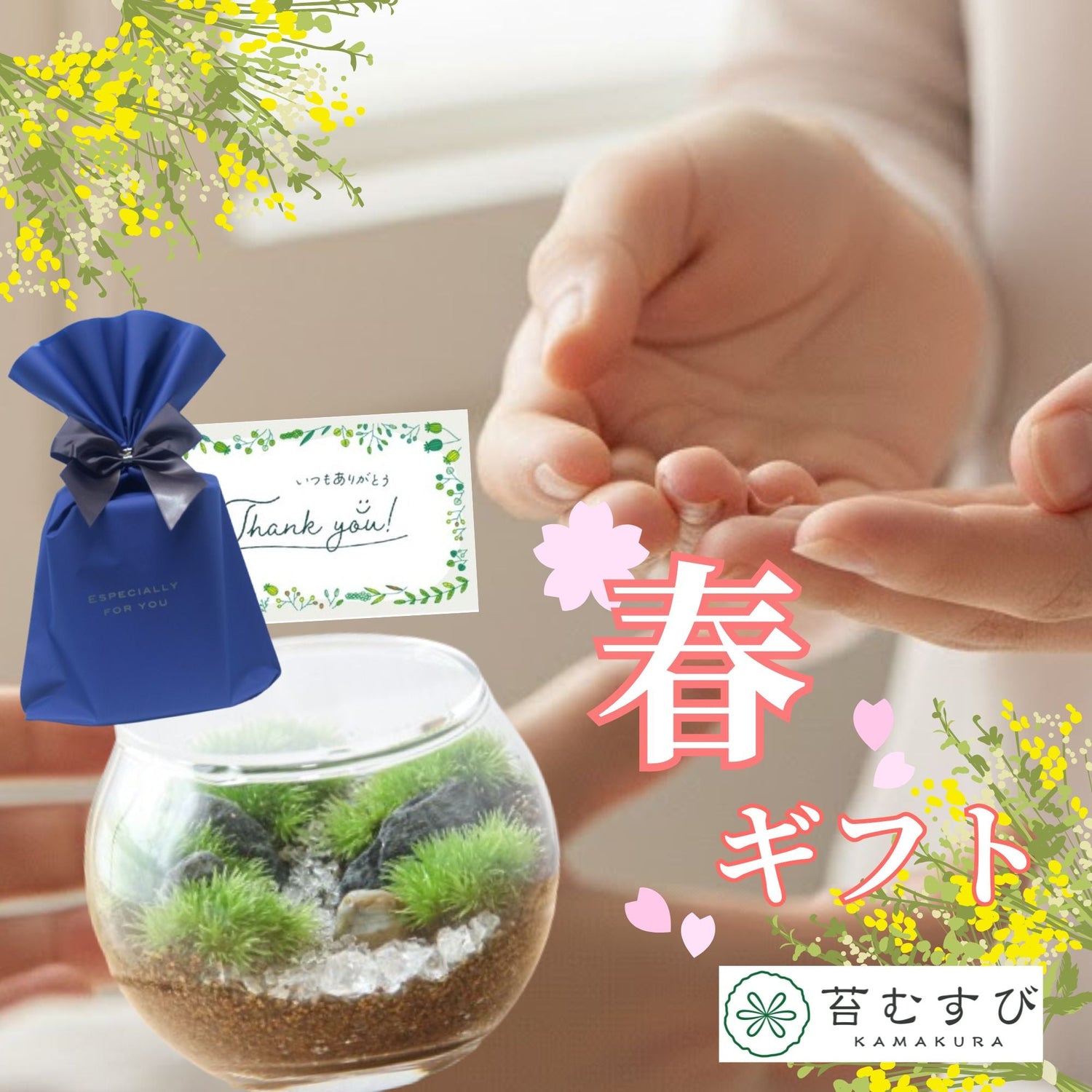 春の苔テラリウム