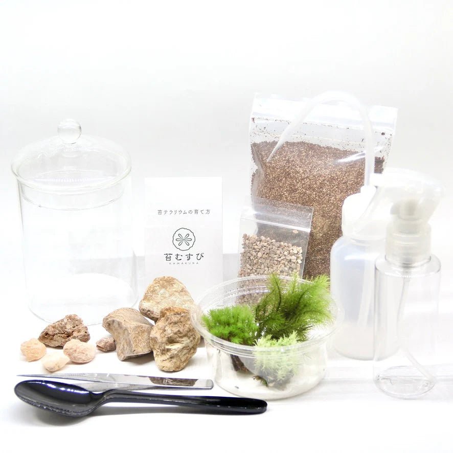 苔テラリウムを作りたい方はこちら - 苔むすび