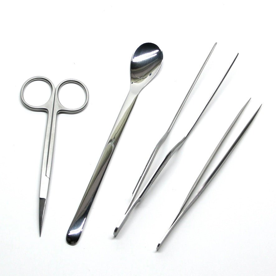 お得なツールセット - 苔むすび