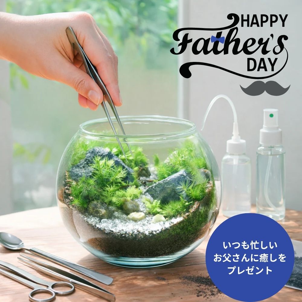 商品 – 苔むすび
