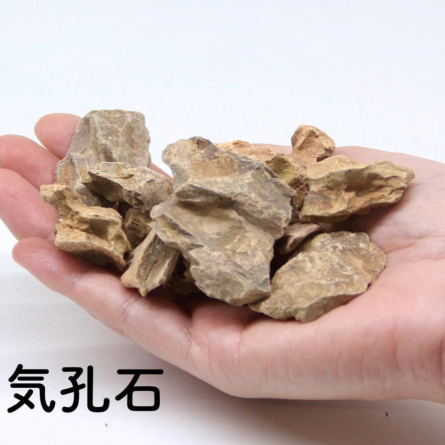 【ボウル2L type】苔テラリウム制作キット《苔パック5種》