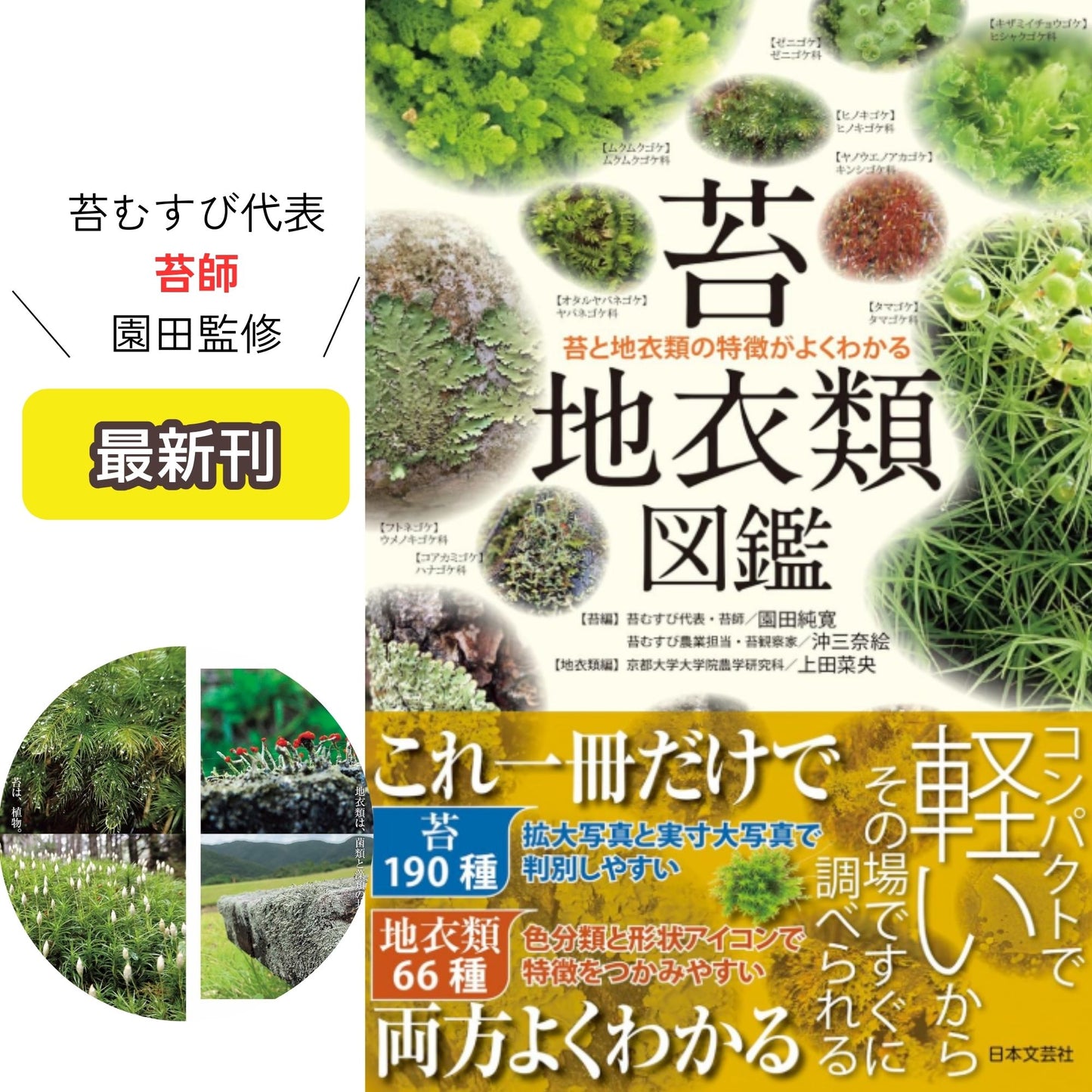 [苔・地衣類図鑑] 苔と地衣類の特徴がよくわかる