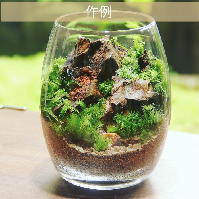 【バルーン type】苔テラリウム制作キット《苔パック5種》