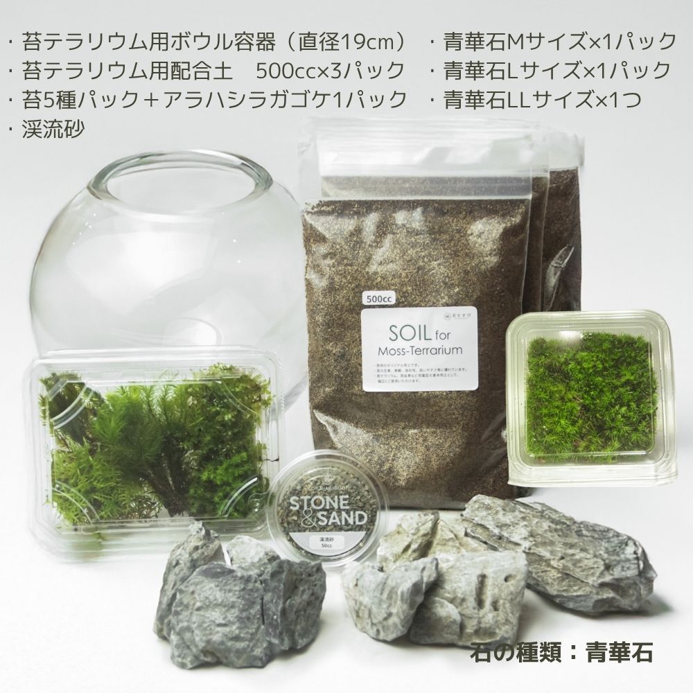 ＼送料無料／石が選べる【直径19㎝ 大型ボウル容器 苔テラリウム制作キット】《苔5種パック＋苔１種》