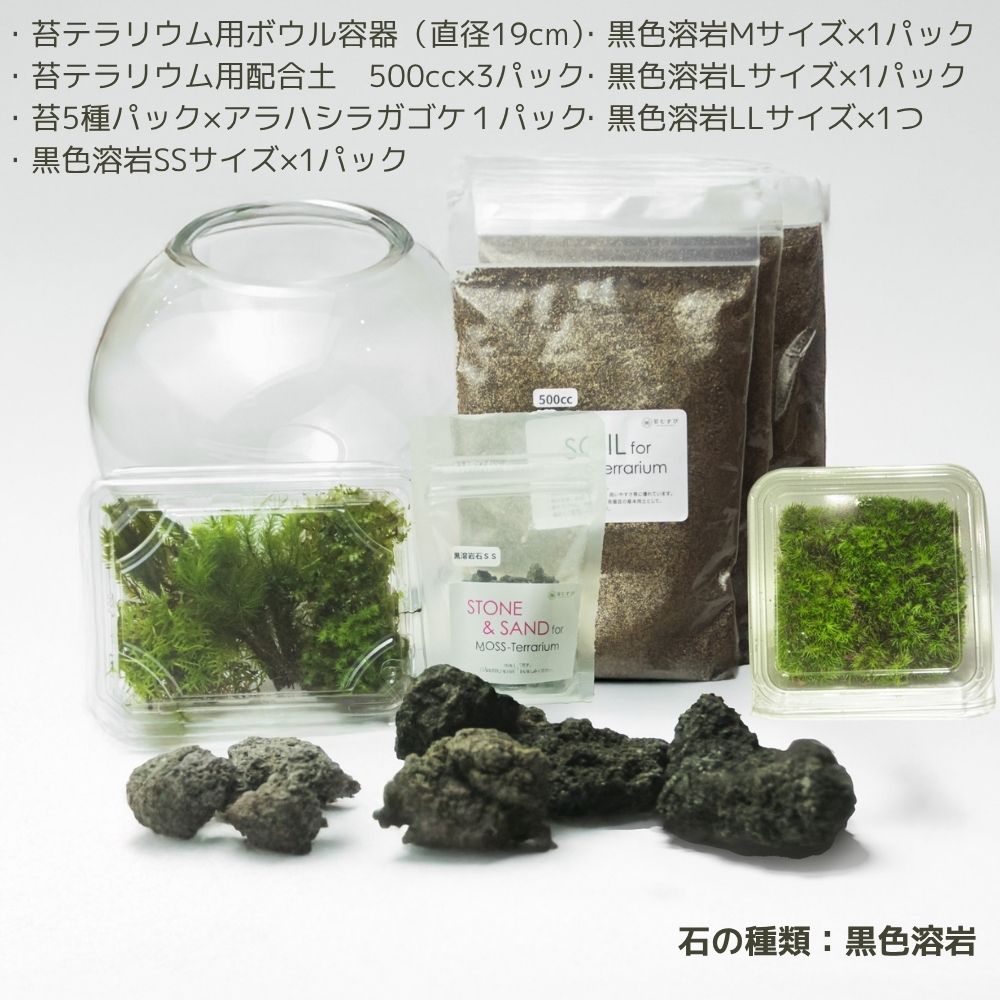 ＼送料無料／石が選べる【直径19㎝ 大型ボウル容器 苔テラリウム制作キット】《苔5種パック＋苔１種》