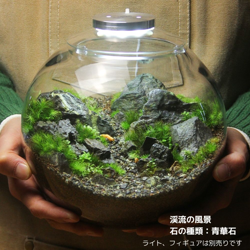 送料無料／石が選べる【直径19㎝ 大型ボウル容器 苔テラリウム制作