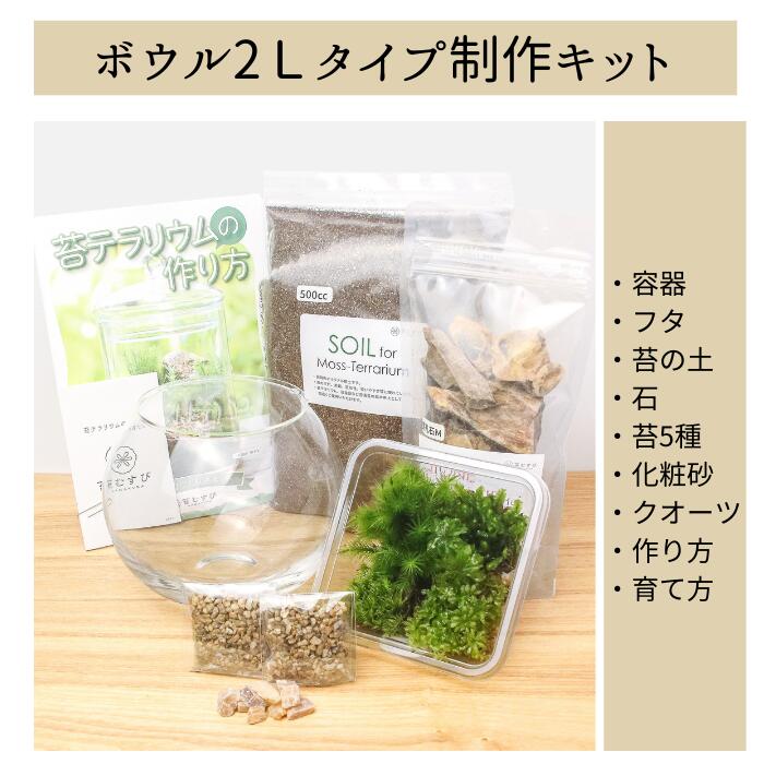 【ボウル2L type】苔テラリウム制作キット《苔パック5種》