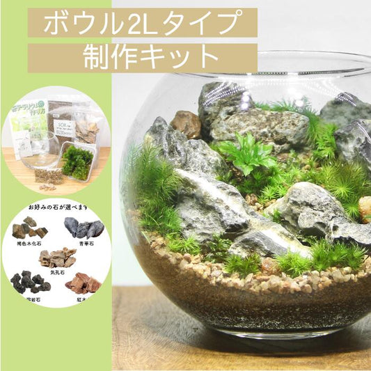 【ボウル2L type】苔テラリウム制作キット《苔パック5種》