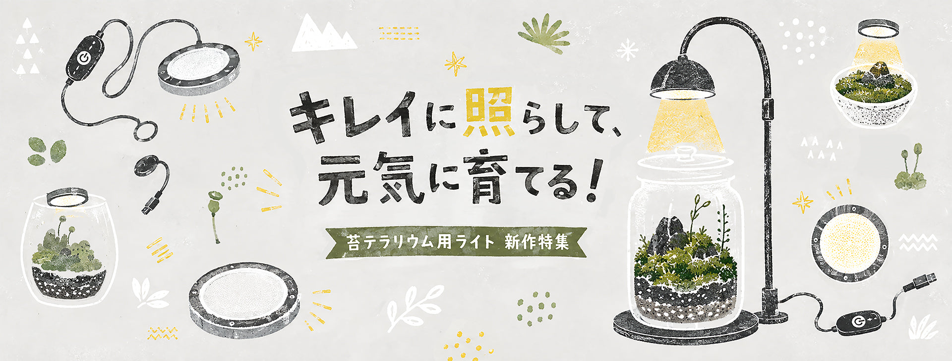 苔テラリウム専門店-苔むすび OnlineShop