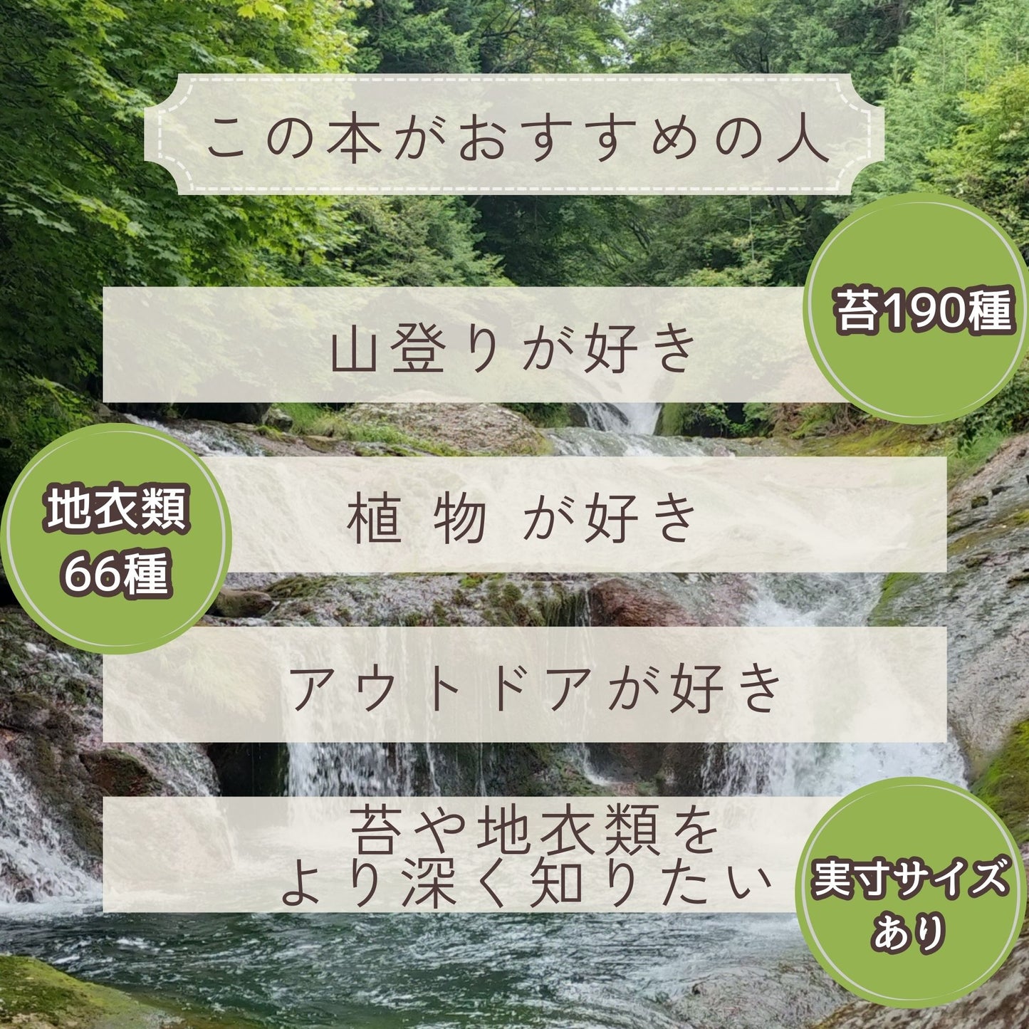 [苔・地衣類図鑑] 苔と地衣類の特徴がよくわかる