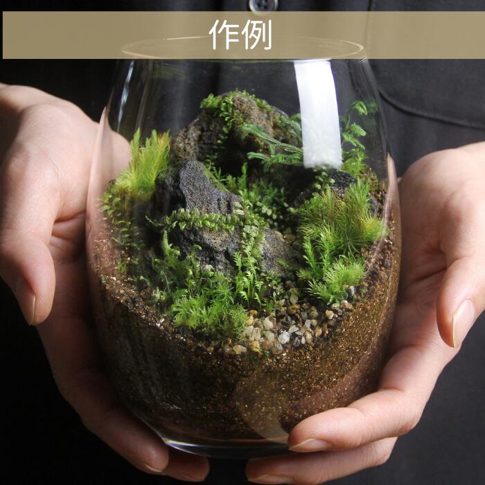 【バルーン type】苔テラリウム制作キット《苔パック5種》
