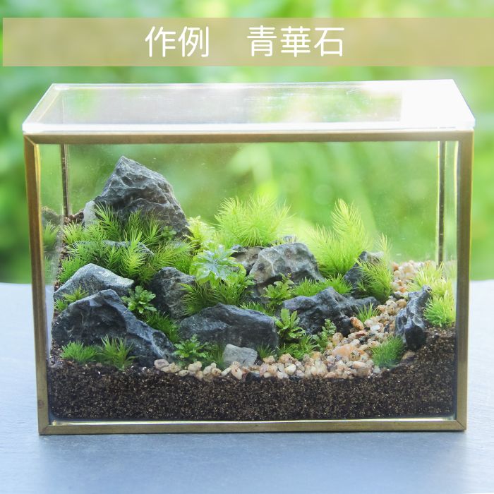【メタルフレームL type】苔テラリウム制作キット《苔パック5種》