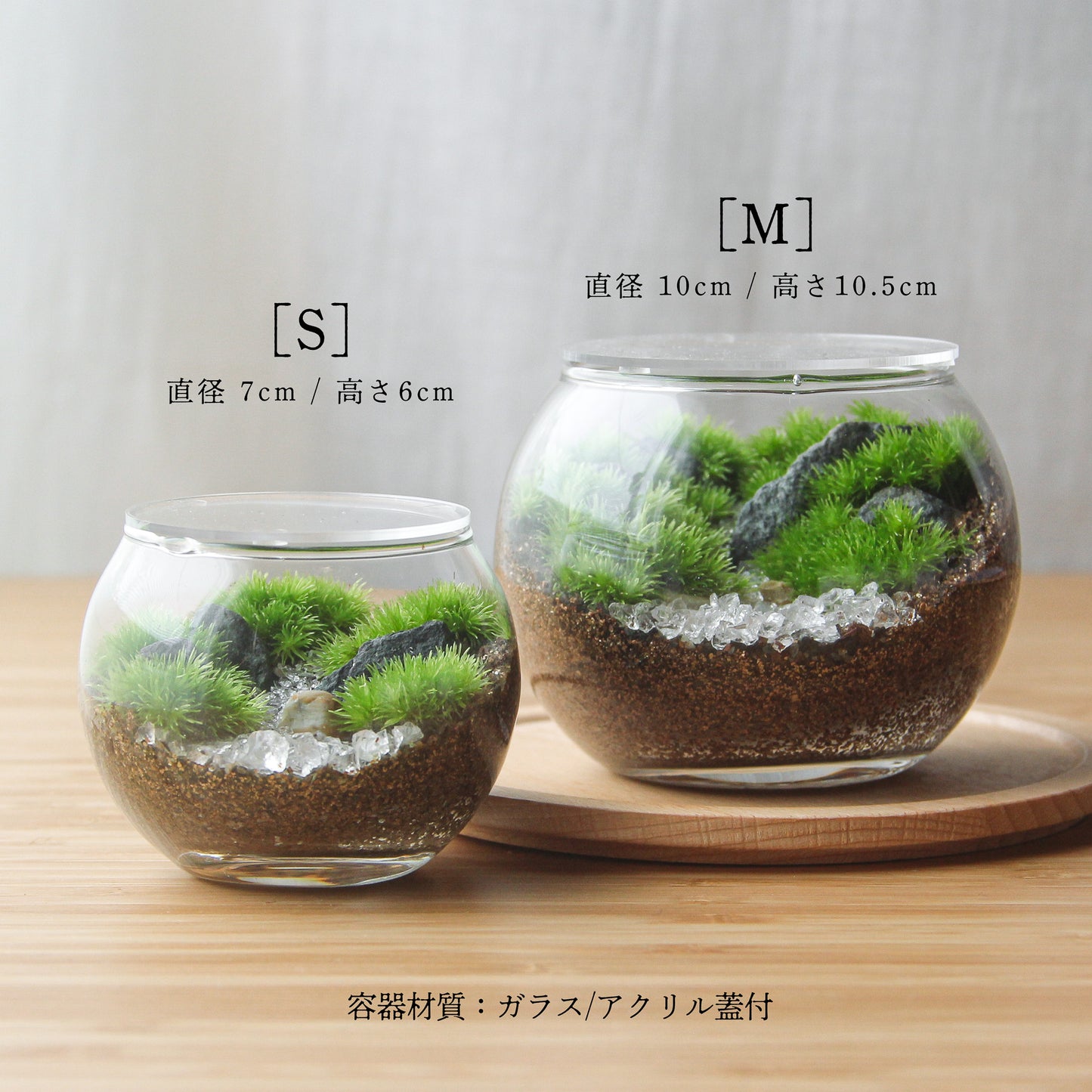 フィギュアなし_枯山水（道なし） ボウルM《苔テラリウム・コケリウム》