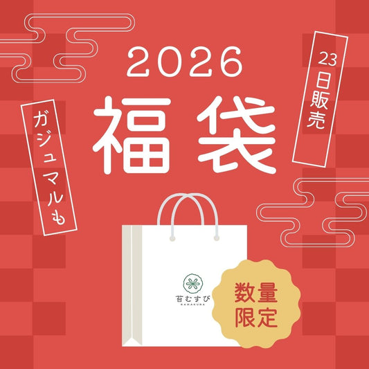 【数量限定】2026年新春福袋（7,000円）育てる楽しみが全部入った♪ガジュマル×苔テラリウム 満足セット福袋