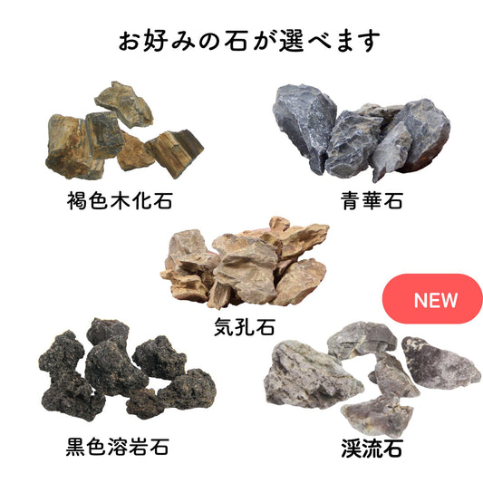 【ボウル2L type】苔テラリウム制作キット《苔パック5種》