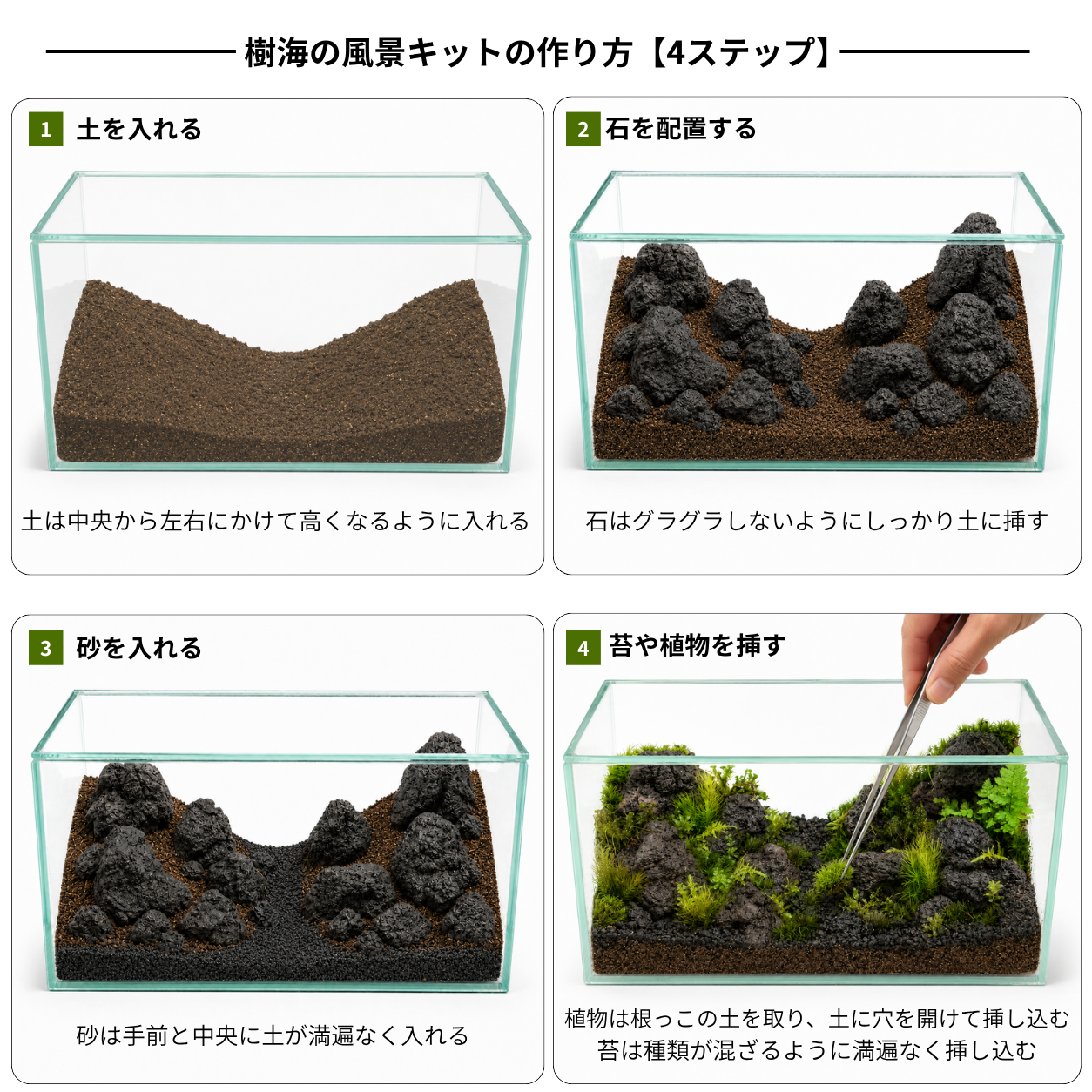 ＼観葉植物入り／樹海の風景　苔テラリウム制作キット（幅20センチ×奥行10センチ×高さ10センチ）