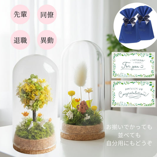 【小さなプリザーブド苔テラリウム】"退職、新生活、卒業に向けて"お世話のいらない苔で感謝を伝える