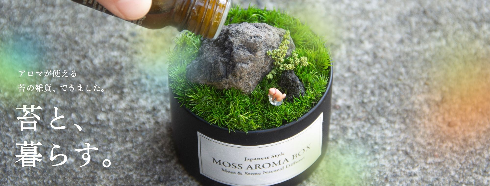 苔テラリウム専門店-苔むすび OnlineShop
